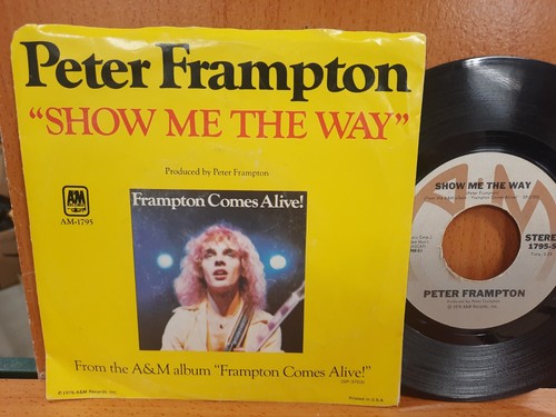 Peter frampton 1976 - 45,