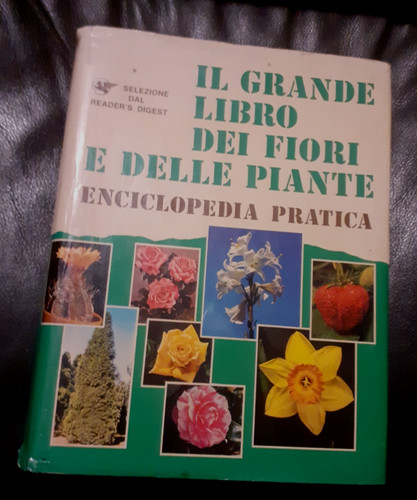 Grande libro dei fiori e - grande,
