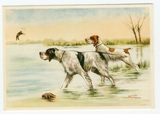 ENGLISH SETTER & BRACCO GUNDOG