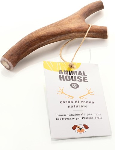 Animal house corna renna - animal,