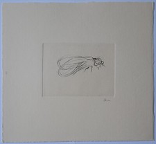 Guido Strazza (Santa Fiora 1922) - Insetti, 1980 - Incisione n° 2