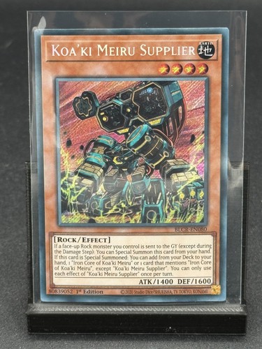 Koa meiru fornitore - koa'ki,