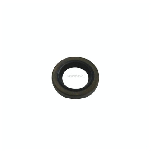 Paraolio motore evinrude - motore,