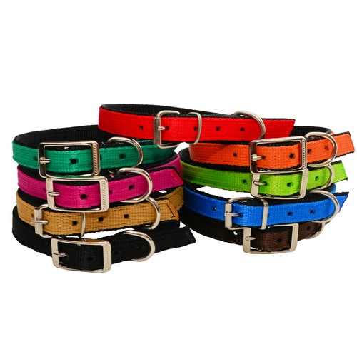 Forte nylon cane cucciolo - forte,