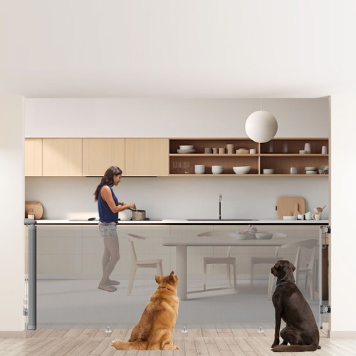 Cancelletto retrattile 250 - , cm