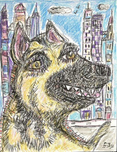 Dessin chien berger allemand - dessin,
