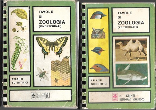 Tavole zoologia vertebrati - tavole,