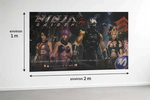 Ninja gaiden sigma - gaiden,