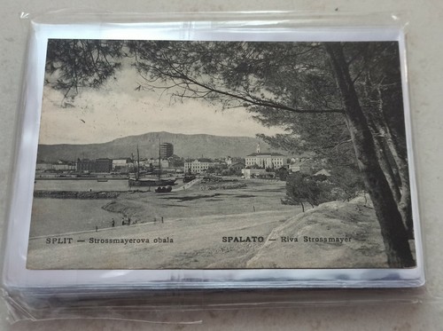 Bustine spesse rigide - 50,