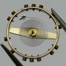 Bilanciere venus 180 - venus,