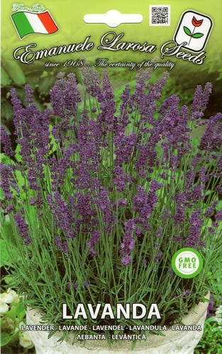 150 semi seeds lavanda - /,