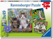 - Puzzles Gattini Soriani