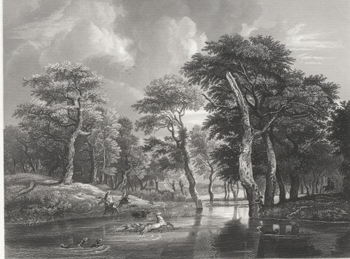 Caccia di ruisdael - la,