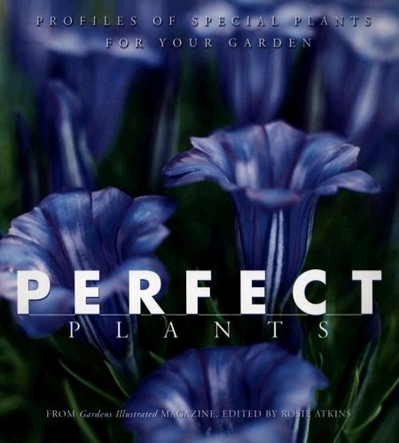 Perfect plants profiles - perfect, of