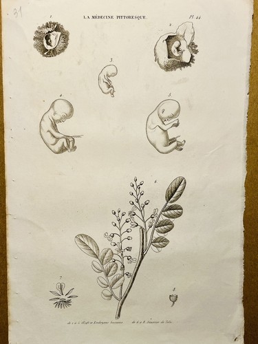 Tavolo antico rame - in, 1834
