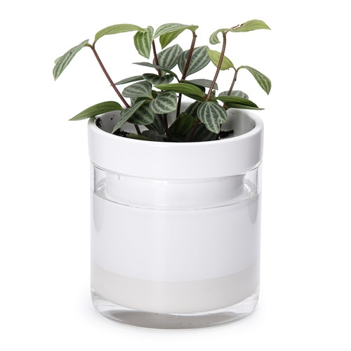 Fioriera autoirrigante - , 4
