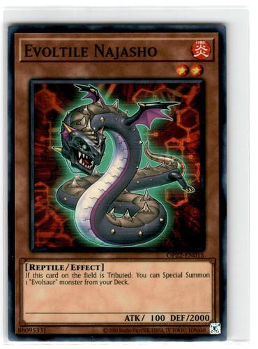 Evoltile najasho - evoltile,
