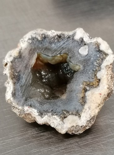 Minerali corallo fossile - *, *