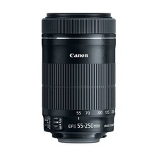 Canon EF-S 55-250mm f/4-5.6 IS