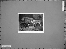 Vecchia Stampa Antica