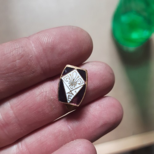 Pins spilla distintivo giglio