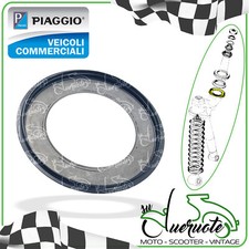 PARAPOLVERE FORCELLA PER APE