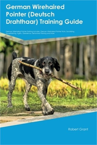 German wirehaired pointer - german,