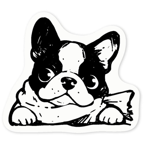 'Bulldog francese che indossa