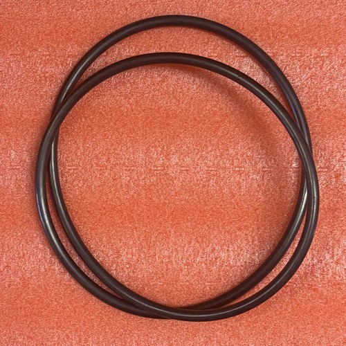 Cinghia trasmissione oem - di,