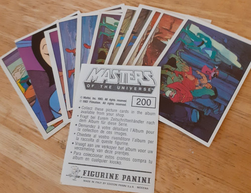 Masters the universe - universe, panini