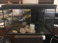 Acquario Con Filtro Pompa E Riscaldatore