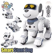 Cane Robot Radiocomandato