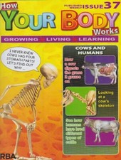 How your body works-issue