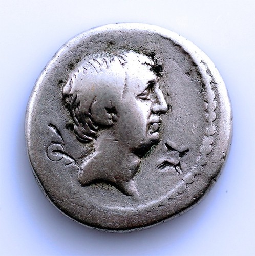 Republic roma gens - sc-republic,