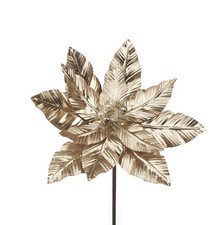 L'Oca Nera - Il Giardino Delle