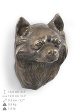 Chihuahua dai capelli lunghi -