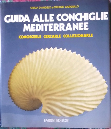 Guida alle conchiglie