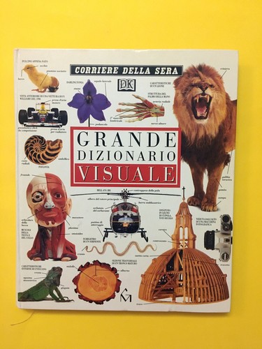 Grande dizionario visuale - dizionario, visuale-di