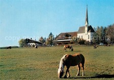 Kematen Tirolo sul Renon cavalli con Sciliar