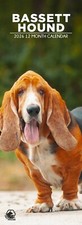 Bassett Hound Dog 2026