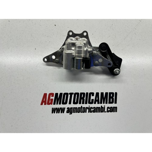 Ammortizzatore sospensione - ammortizzatore,