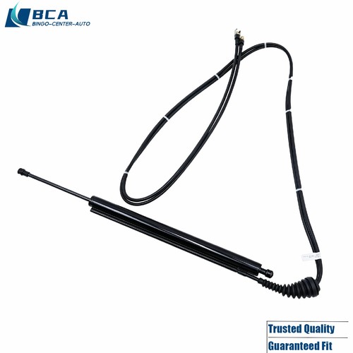 Power liftgate actuator - liftgate,