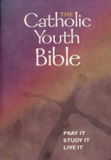 The Catholic Youth Bible by Brian Singer-Towns (2000, Trade Paperback,...
