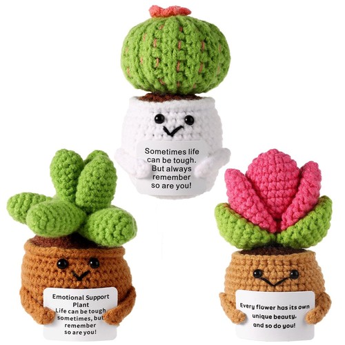 3pz piante grasse - 3pz,