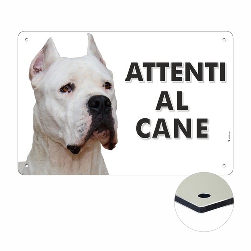 Dogo argentino attenti - dogo, cane