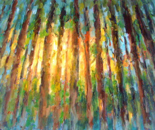 Luce del sole nel bosco