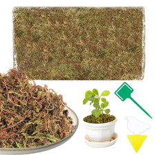 Muschio Secco 200G Muschio Di