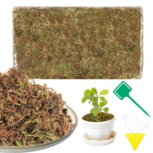 Muschio secco 200g - secco,