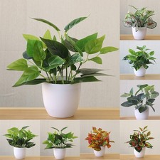 Piante artificiali piante