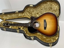 Chitarra elettrica acustica